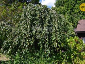 Prodej chaty, Havířov - Prostřední Suchá, 11 m2