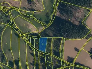 Prodej lesa, Pelhřimov, 1759 m2