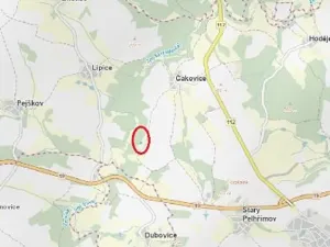 Prodej lesa, Pelhřimov, 1222 m2