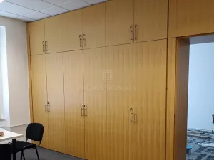 Pronájem kanceláře, Praha - Nové Město, Opletalova, 33 m2