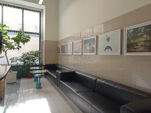 Pronájem kanceláře, Praha - Nové Město, Opletalova, 33 m2