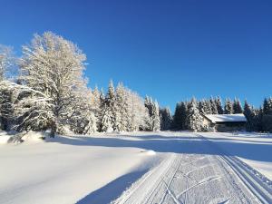 Prodej domu, Bedřichov, 180 m2