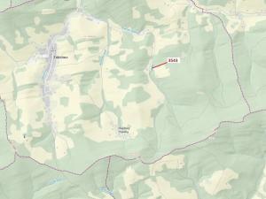 Dražba lesa, Zděchov, 1866 m2