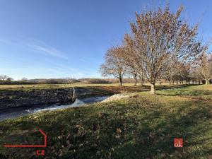 Pronájem atypického bytu, 42 m2