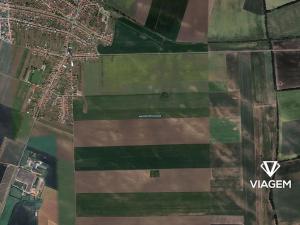 Prodej pole, Moravský Žižkov, 1473 m2