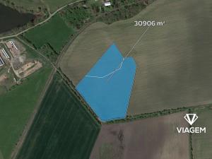 Prodej podílu pole, Kopidlno, 3347 m2