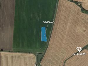 Prodej pole, Vinařice, 3640 m2