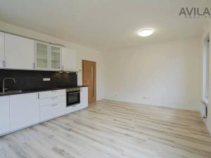 Pronájem bytu 1+kk, Benešov, U Pivovaru, 33 m2