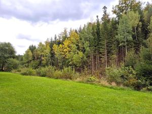 Prodej bytu 2+1, Bayerisch Eisenstein, Německo, Bahnhofstraße, 53 m2