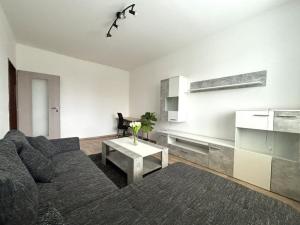 Pronájem bytu 2+1, Plzeň - Východní Předměstí, U Prazdroje, 52 m2