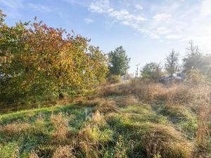 Prodej pozemku pro bydlení, Dřetovice, 919 m2
