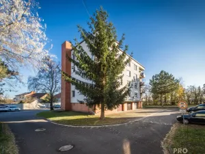 Prodej bytu 2+1, Rohatec, Vítězná, 52 m2