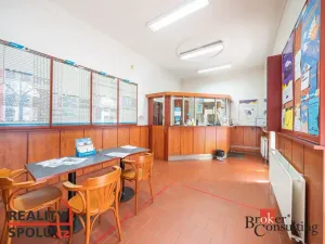 Prodej historického objektu, Rokycany - Střed, Smetanova, 250 m2
