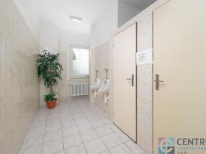 Pronájem obchodního prostoru, Turnov, Přepeřská, 1371 m2