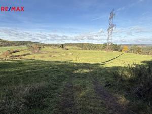 Prodej louky, Nečín, 16453 m2