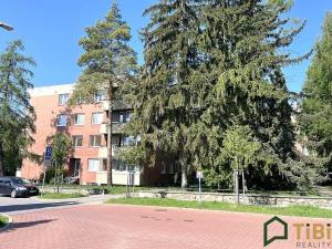 Prodej bytu 3+1, Brno, 72 m2