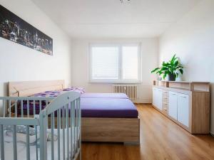 Prodej bytu 2+1, Třebíč, Fr. Hrubína, 54 m2