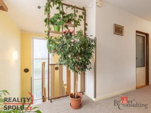 Prodej rodinného domu, Kostice, Pionýrská, 299 m2