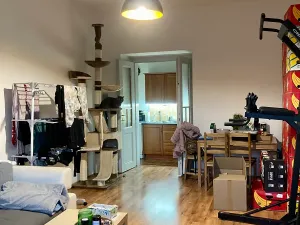 Pronájem bytu 2+kk, Praha - Košíře, Vrchlického, 50 m2