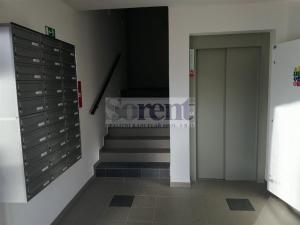 Pronájem bytu 3+kk, České Budějovice - České Budějovice 5, Fr. Škroupa, 66 m2