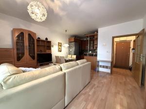 Pronájem bytu 2+kk, Plzeň, Goldscheiderova, 50 m2