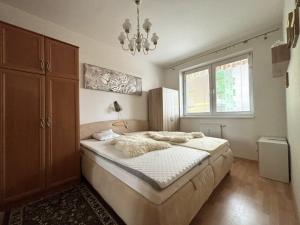 Pronájem bytu 2+kk, Plzeň, Goldscheiderova, 50 m2