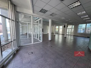 Prodej činžovního domu, Světlá nad Sázavou, Lánecká, 1000 m2