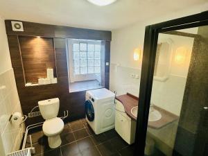 Prodej vícegeneračního domu, Třebušín, 750 m2