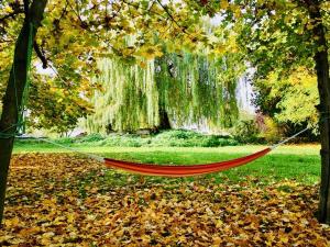 Prodej vícegeneračního domu, Třebušín, 750 m2