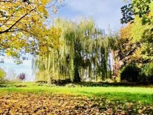 Prodej vícegeneračního domu, Třebušín, 750 m2