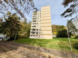 Prodej bytu 1+kk, Ústí nad Labem, Vinařská, 31 m2