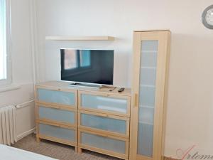 Pronájem bytu 1+1, Ostrava - Zábřeh, Výškovická, 40 m2