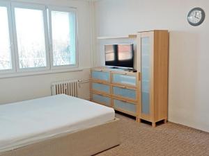 Pronájem bytu 1+1, Ostrava - Zábřeh, Výškovická, 40 m2