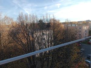 Pronájem bytu 1+1, Ostrava - Zábřeh, Výškovická, 40 m2