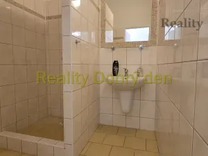 Pronájem bytu 2+kk, Opava, Lidická, 50 m2