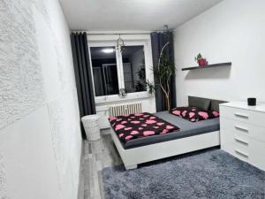 Prodej bytu 3+1, Krnov - Pod Cvilínem, SPC V, 74 m2