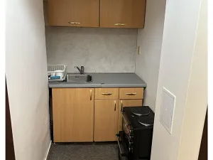 Prodej bytu 1+kk, Praha - Nusle, Doudlebská, 31 m2