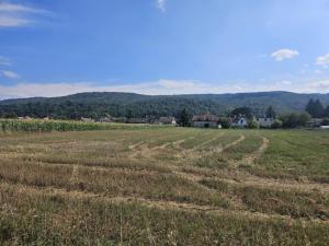 Prodej pozemku pro bydlení, Lety, Prostřední, 7708 m2