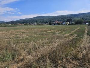 Prodej pozemku pro bydlení, Lety, Prostřední, 7708 m2