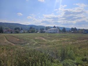 Prodej pozemku pro bydlení, Lety, Prostřední, 7708 m2