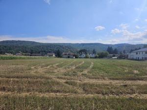 Prodej pozemku pro bydlení, Lety, Prostřední, 6873 m2