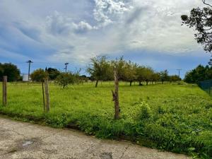 Prodej pozemku pro bydlení, Turovice, 1000 m2