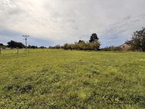 Prodej pozemku pro bydlení, Turovice, 1000 m2