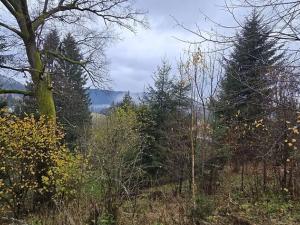 Prodej pozemku pro bydlení, Staré Hamry, 1212 m2