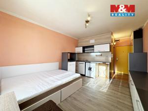 Pronájem bytu 1+kk, Karlovy Vary - Drahovice, Lidická, 22 m2