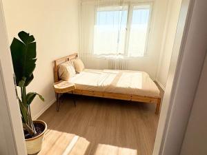 Prodej bytu 2+kk, Praha - Smíchov, Holečkova, 51 m2