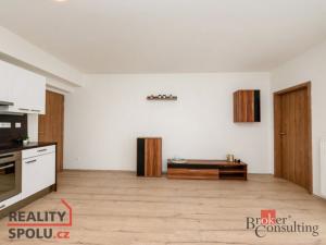 Pronájem bytu 2+kk, Plzeň - Bolevec, U Velkého rybníka, 59 m2