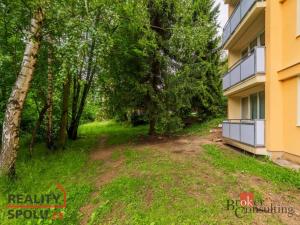 Pronájem bytu 2+kk, Liberec - Liberec V-Kristiánov, Slovenského národního povstání, 38 m2