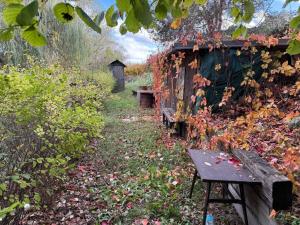 Prodej zahrady, Píšťany, 300 m2