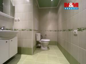 Pronájem bytu 1+kk, Ústí nad Labem - Krásné Březno, Obvodová, 31 m2